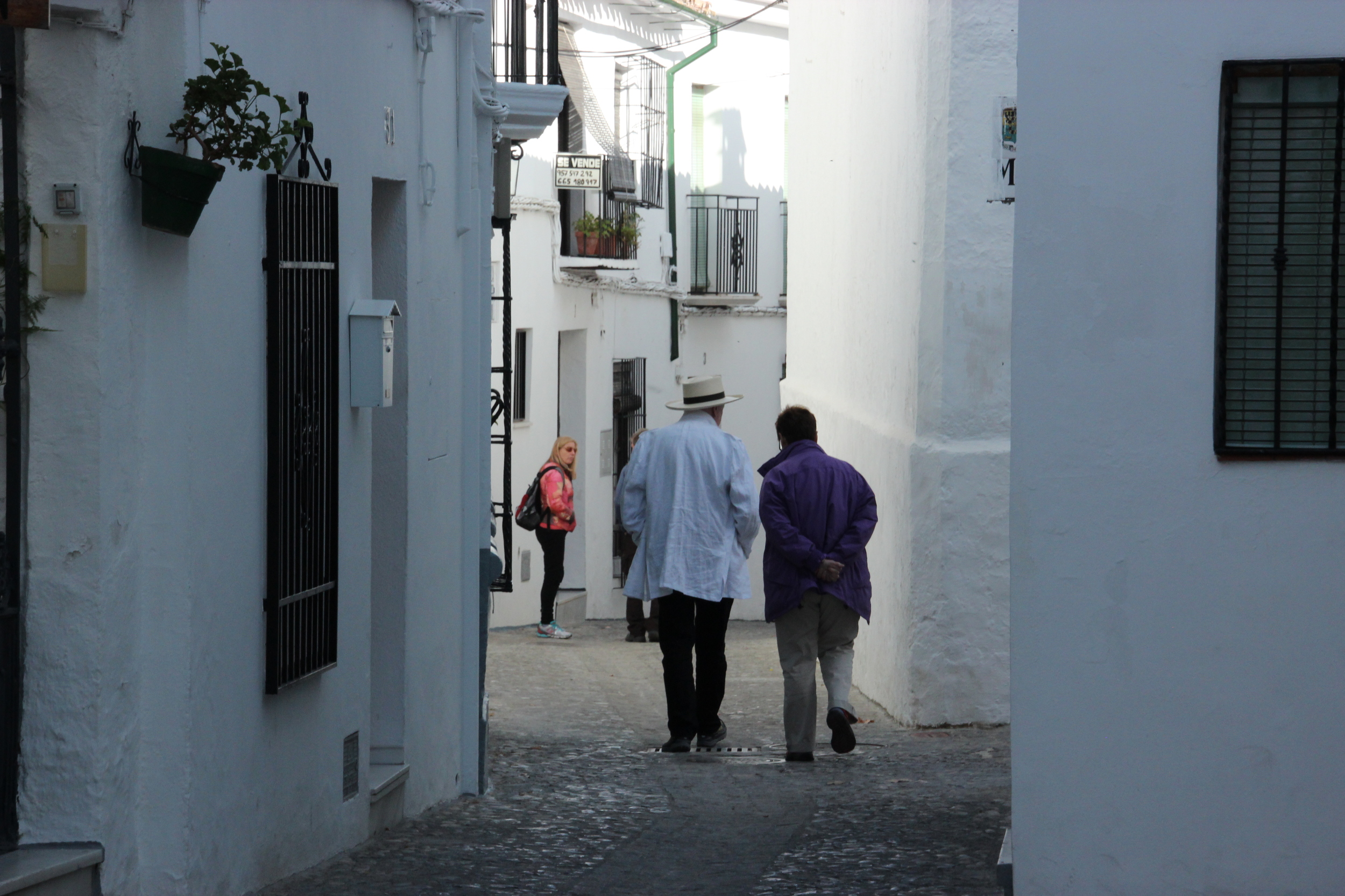 Barrio Viejo • 2014