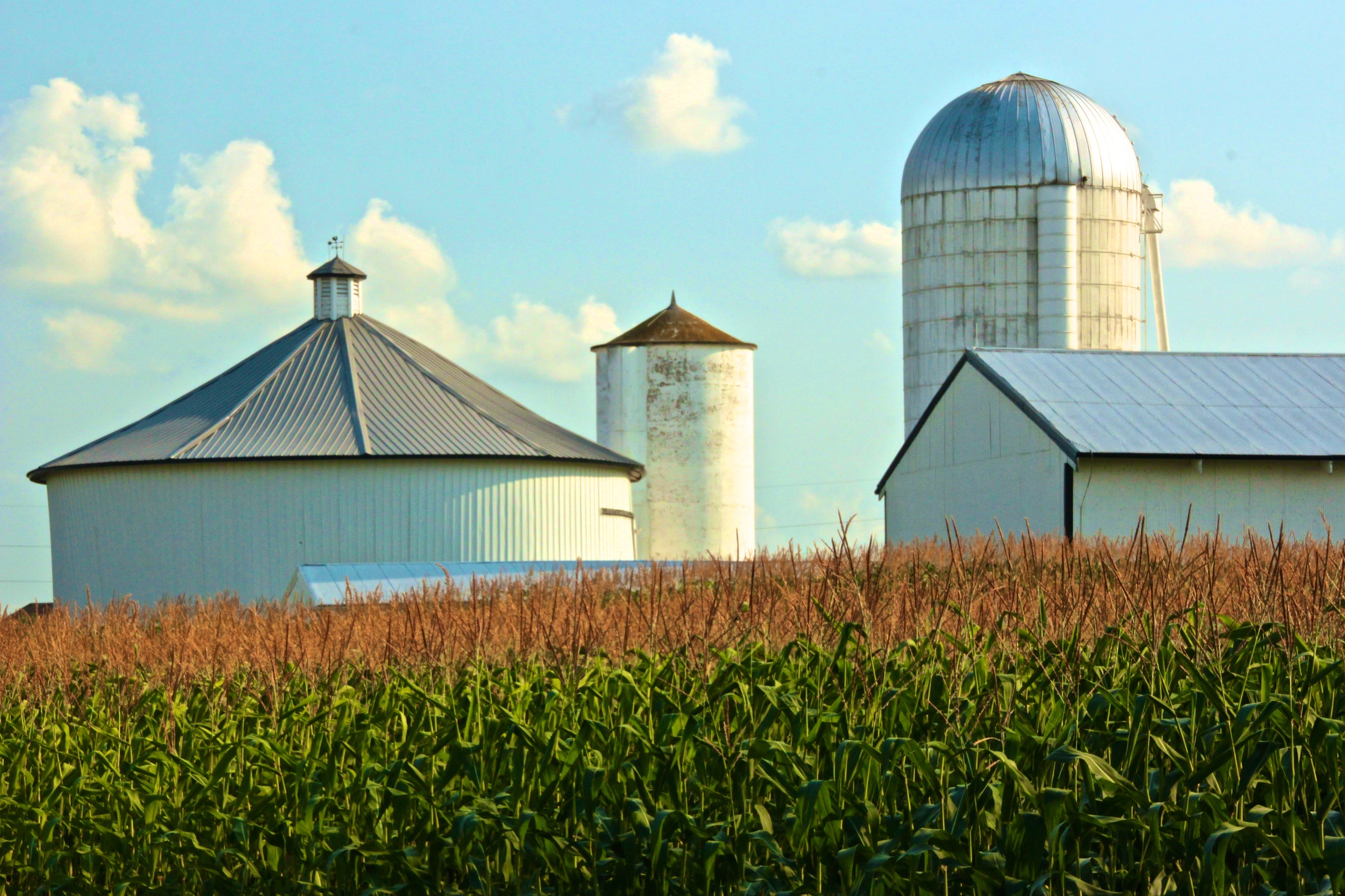 Round barn