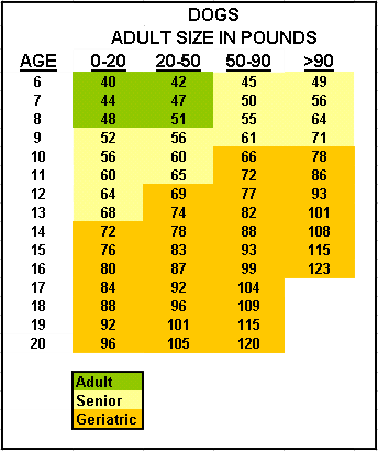 Dog Years Chart Age