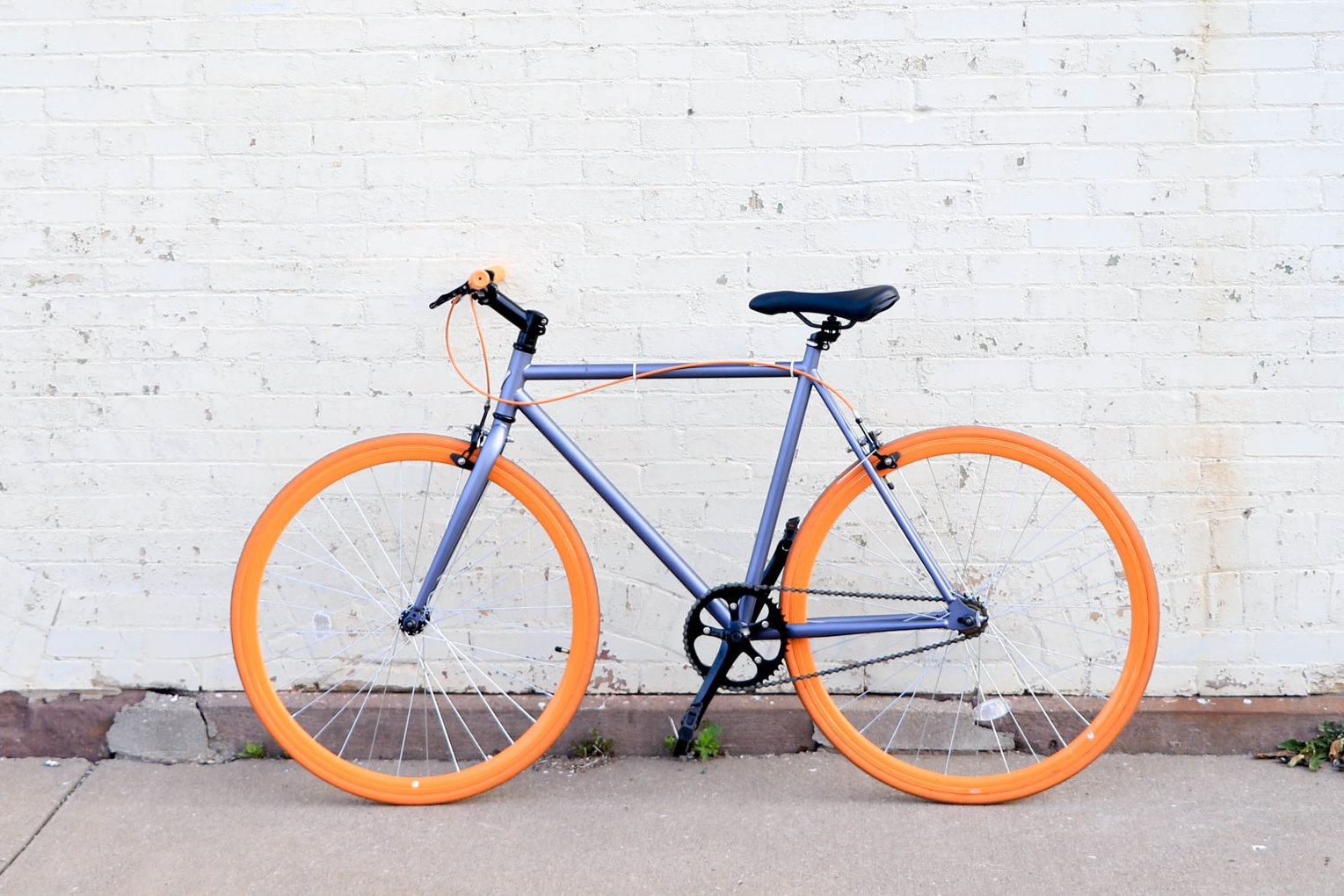 Running a painting company from a bicycle may not seem like the best business plan, but somehow it worked out!