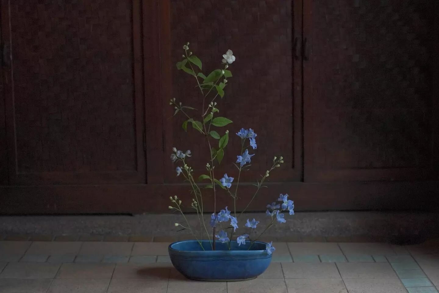 Student work by: @h_endo_photos 

Delphinium belladonna and Philadelphus satsumi