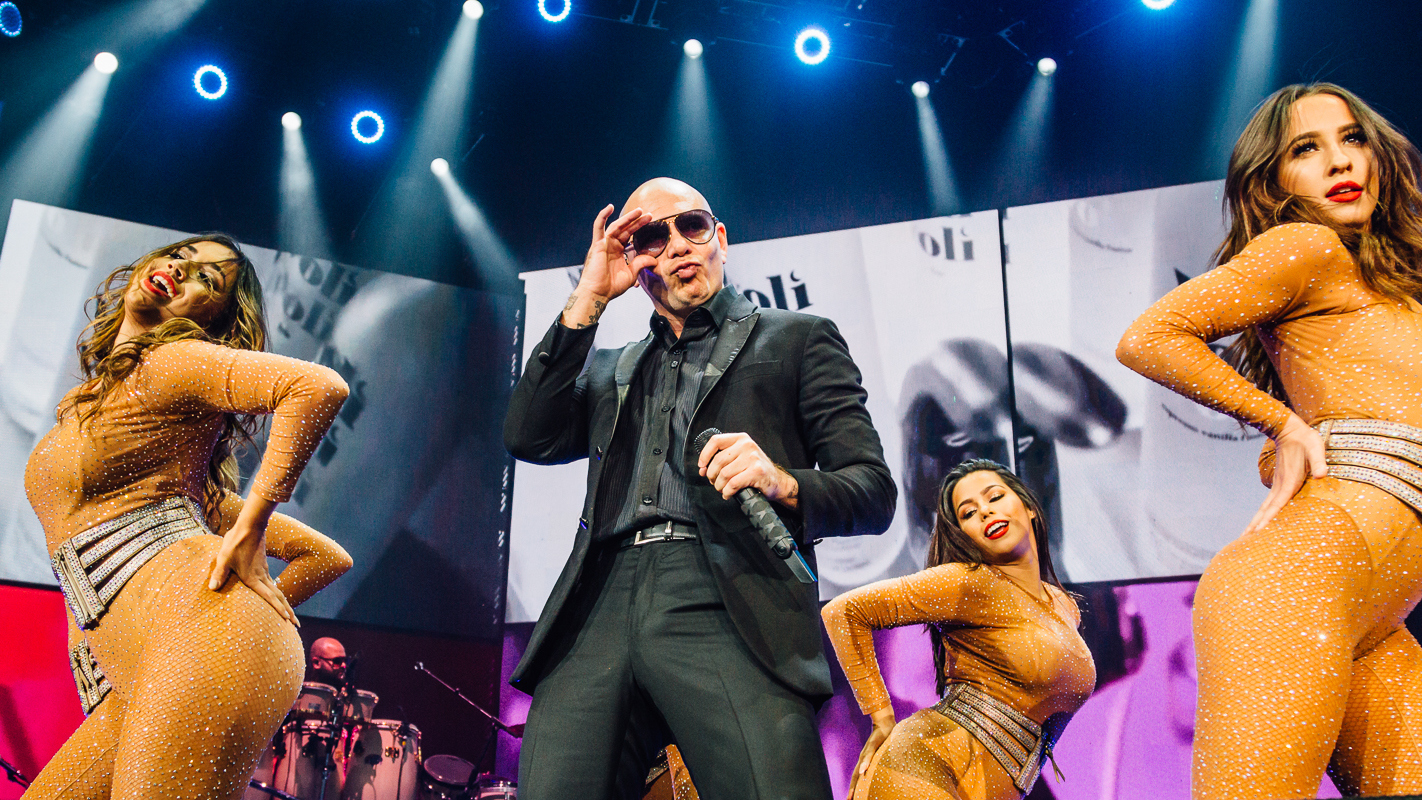 Pitbull//Denver, Colorado