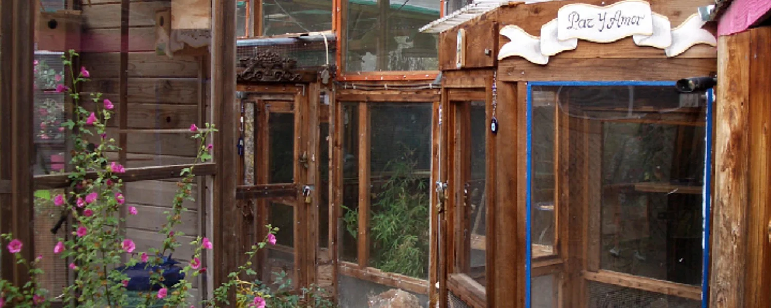 aviaries-2.jpg