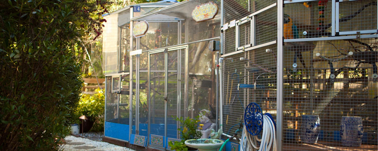 aviaries12-14.jpg