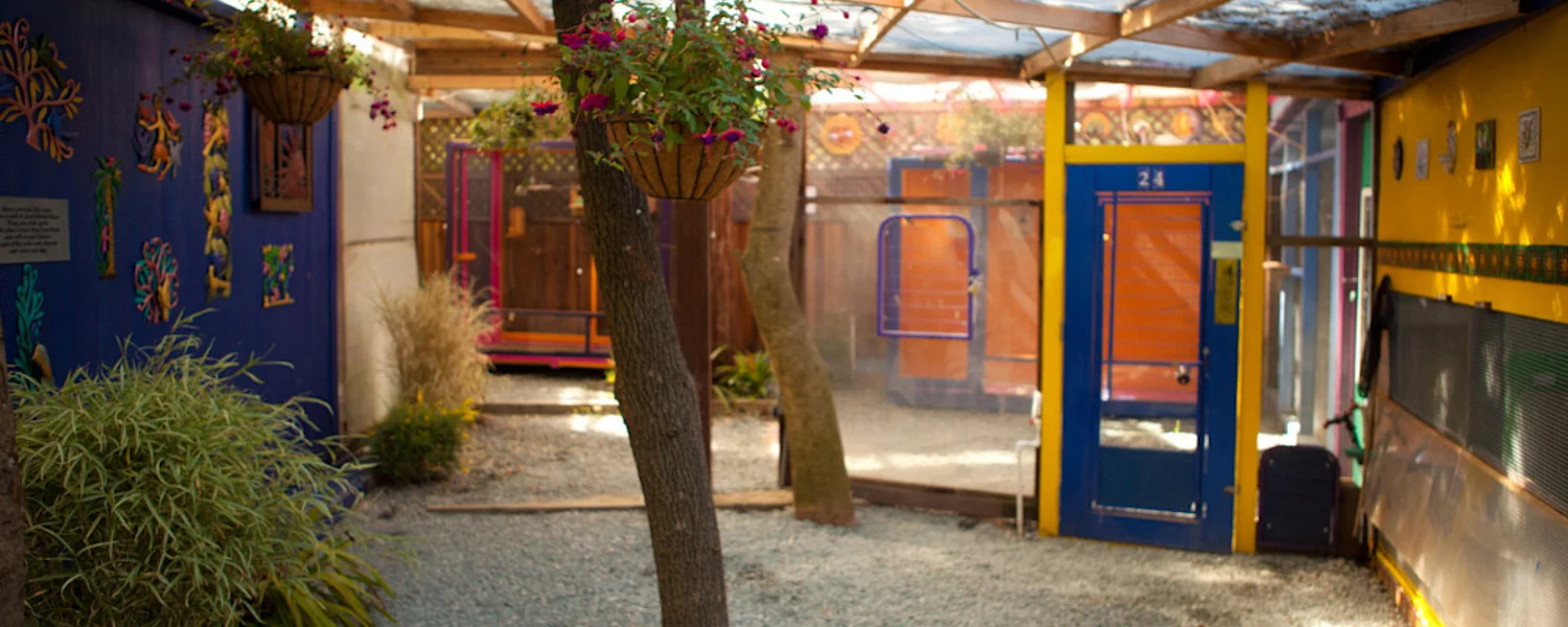 aviary24.jpg