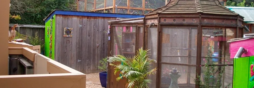 Aviary0.jpg