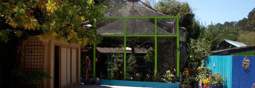 Aviary7.jpg