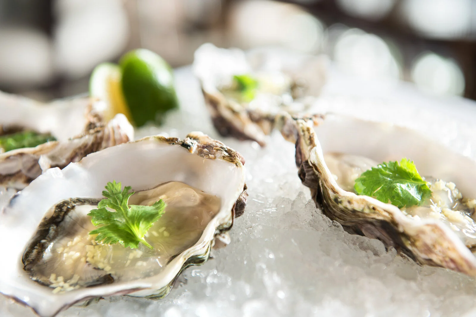 20170810_Capella_Food-1.jpg