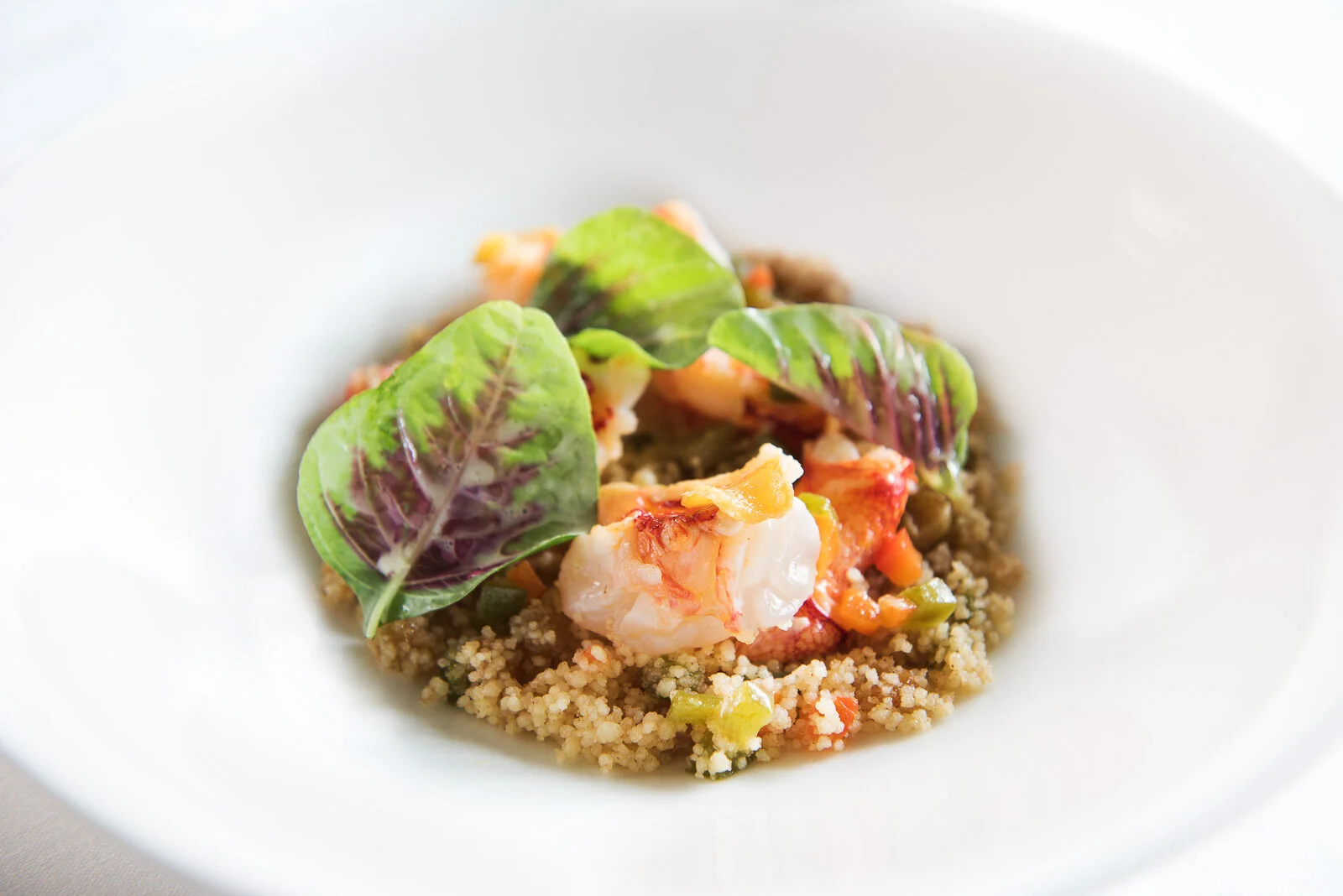 20170810_Capella_Food-3.jpg