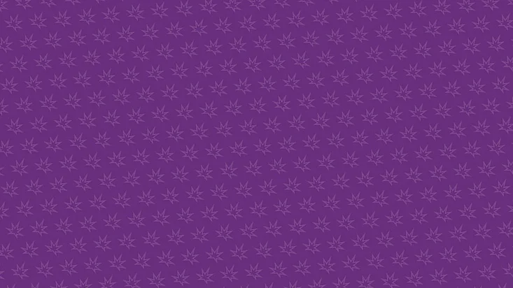 tasteethc_pattern.jpg