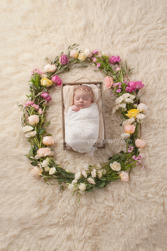 New Jersey Baby Photographer