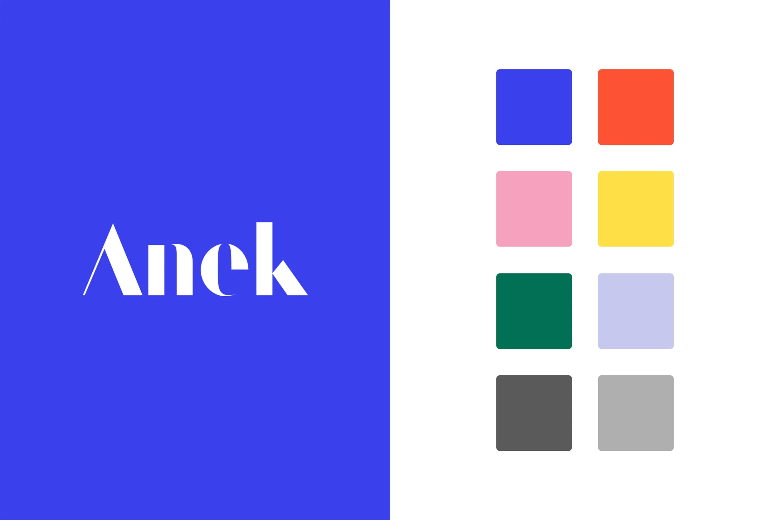 Anek_Web_03.jpg