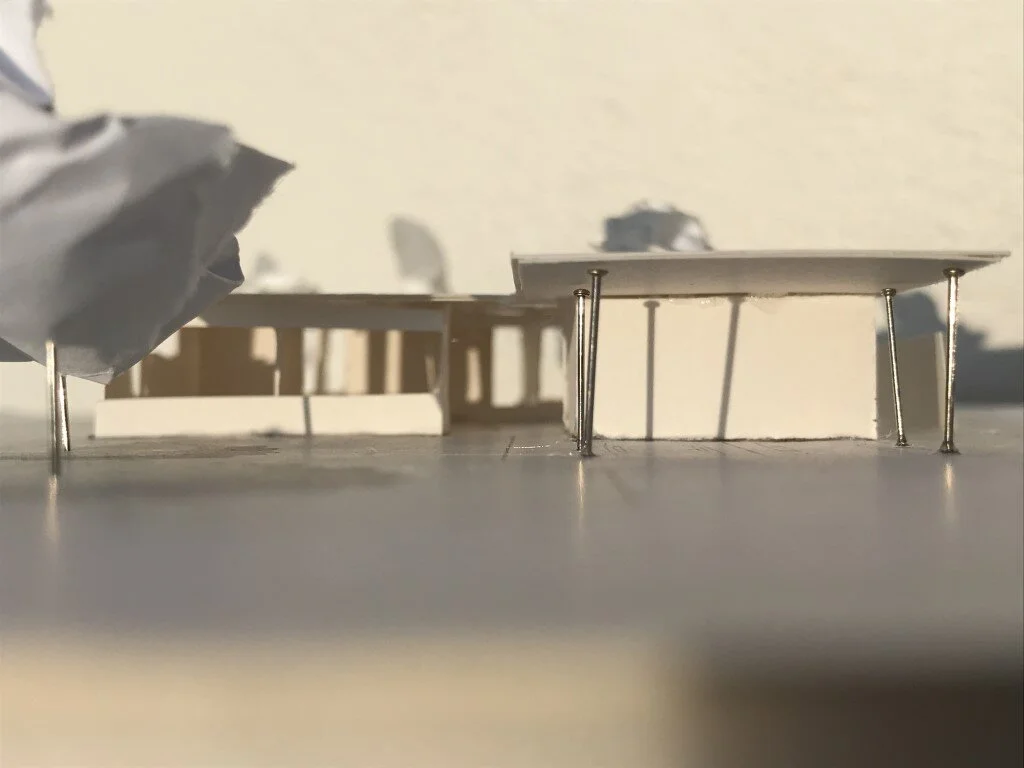 2018_SUA IMG_6241 (Medium).JPG