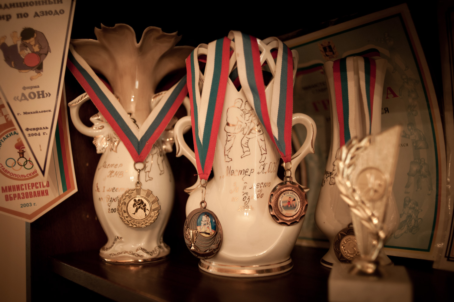 Tigran's judo medals.