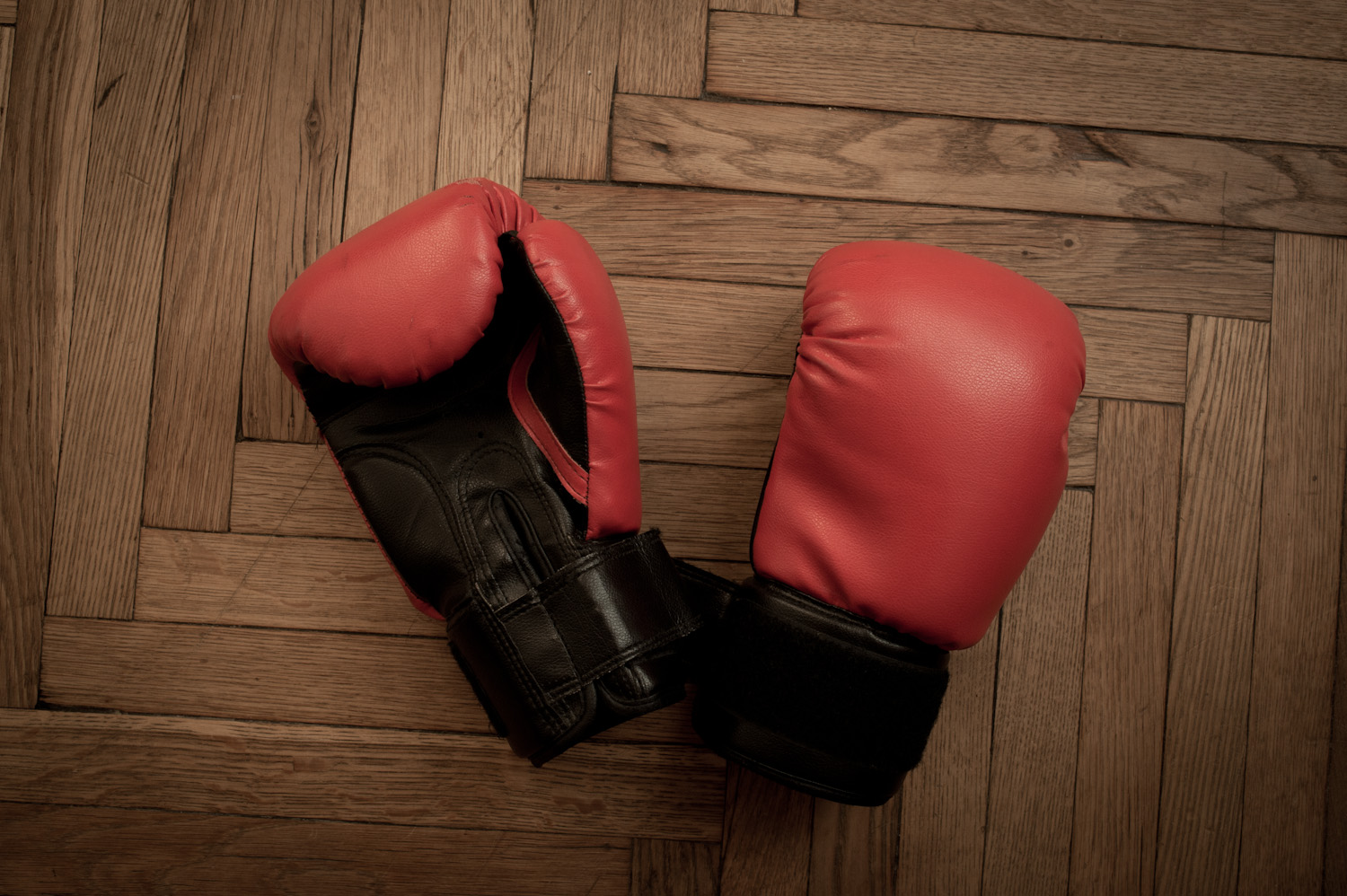  Tigran's boxing gloves.   