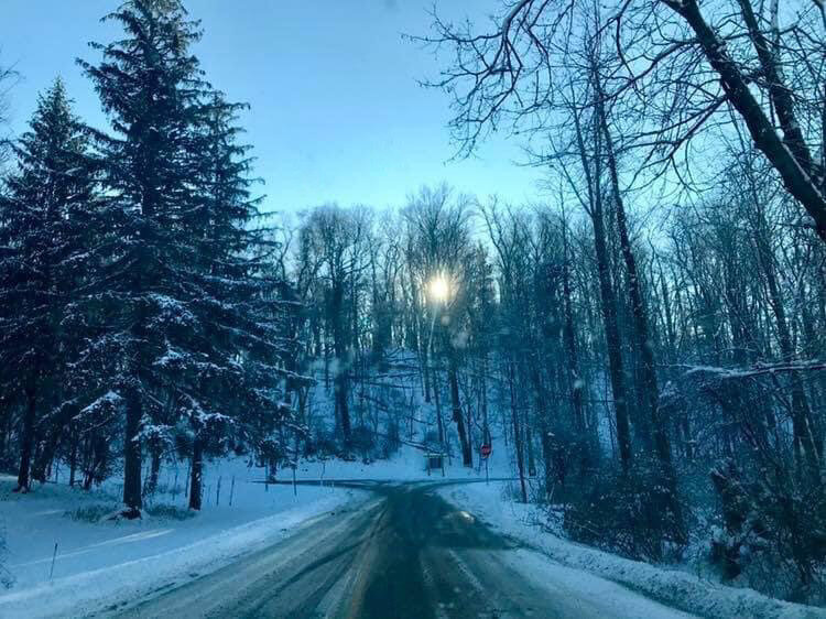 Come... walk with me and gaze in wonder on the healing light... and may God hold our hearts as we trek together on this blessed night.  💗✨🙏✨💗
