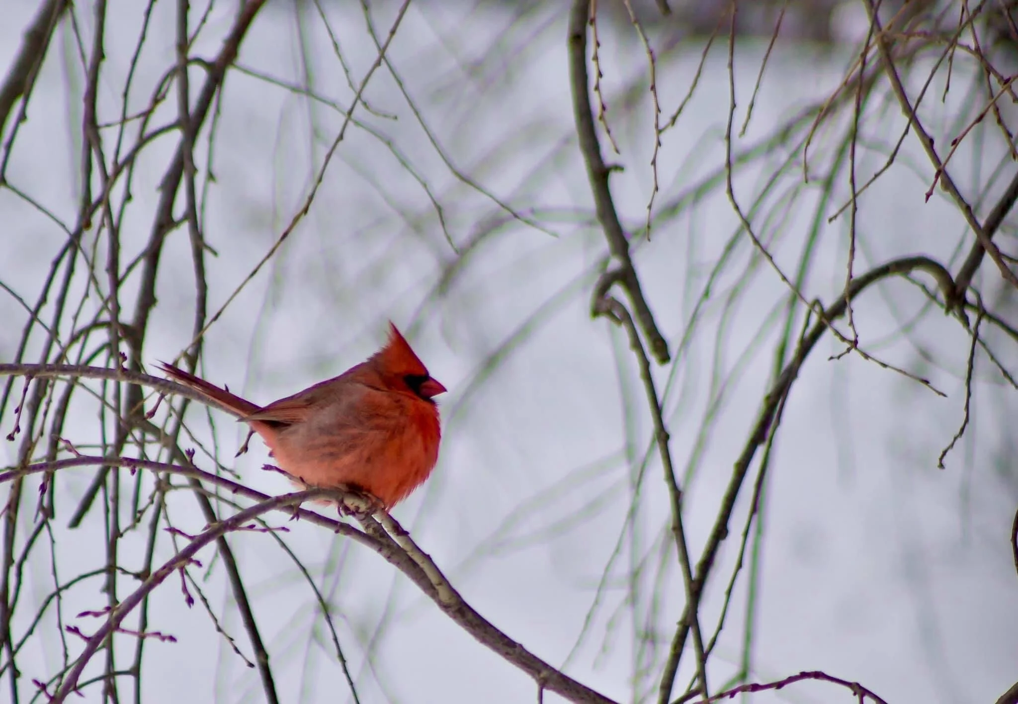 Ahhh, there is a beauty that comes from the stillness... come, sit here for a moment and let the peace wash over you. 🥰✨💞