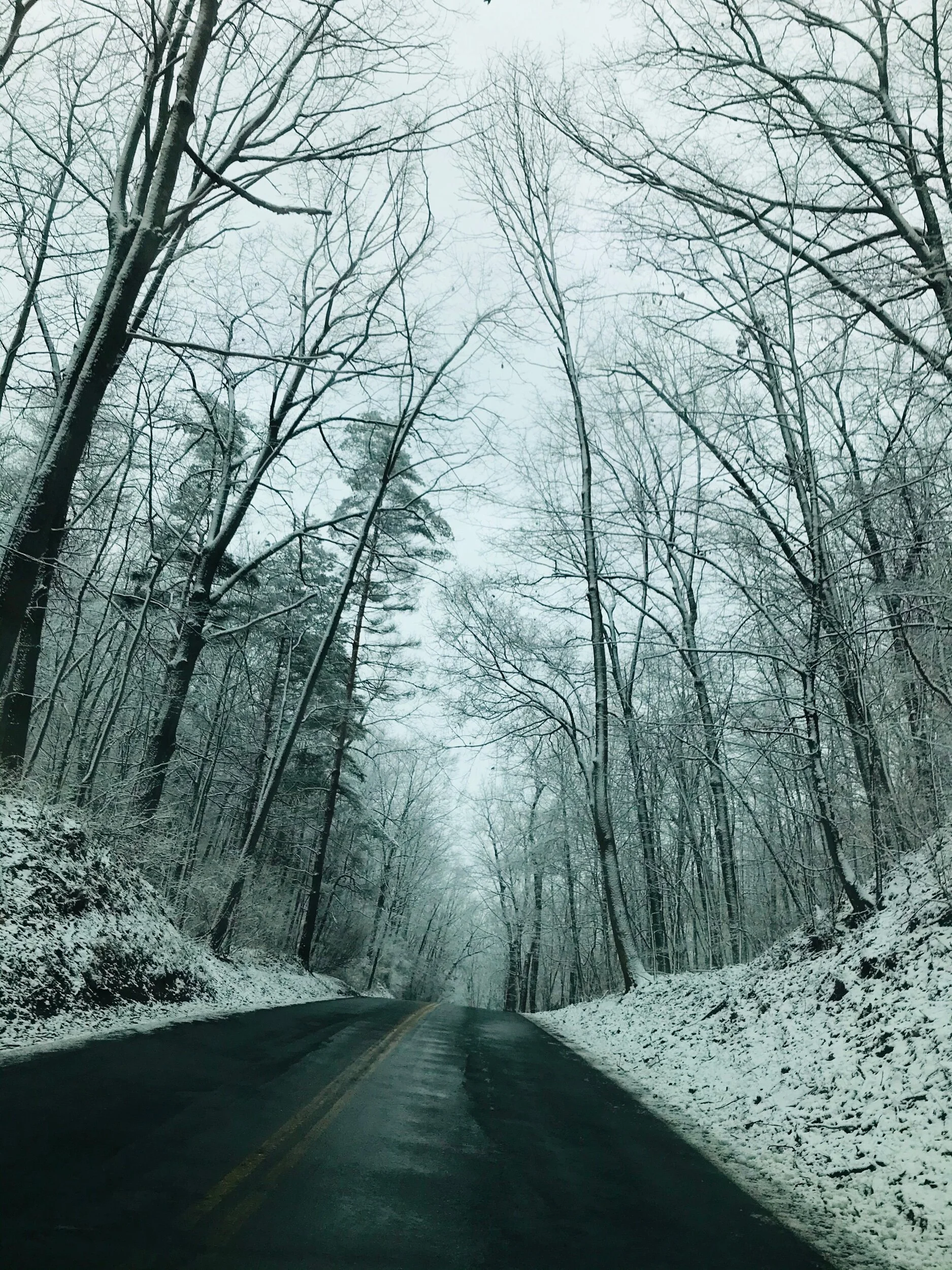 Traveling uphill on a road not taken... life continues to challenge us each and every day... requiring us to dig deeper and try harder in seeking beauty, comfort, peace, hope, and light... praying you find glimpses of each of these in your day... 🙏…