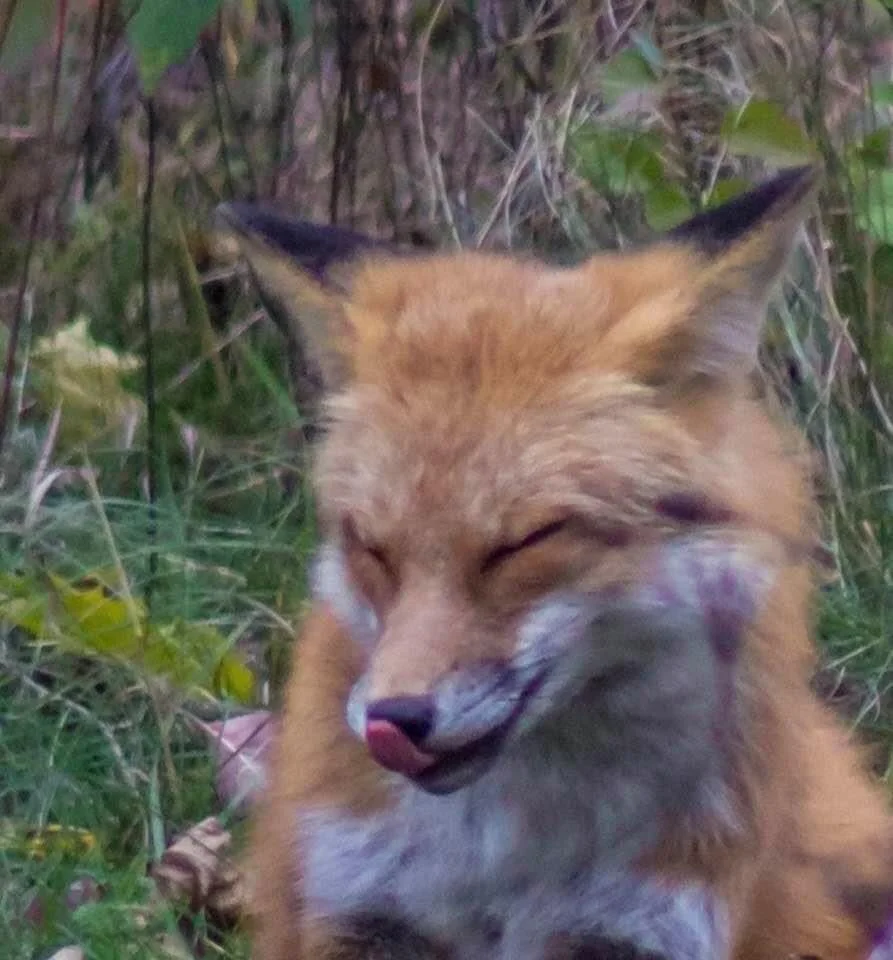 “Friday, I’m so grateful for you... you are always a favorite...” 💗🥰💞Maybe you can take a timeout today for a little self-care... take a moment to pause, to breathe, to feel the support beneath you... to settle in right where you are and rest, kn…