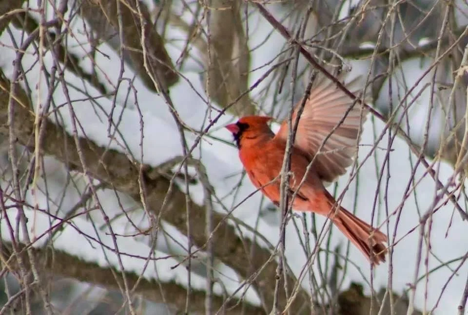 Be gentle with yourself,Use a kind eye,Breathe with love through all,As you learn to fly.✨🙏🏽✨😘💞