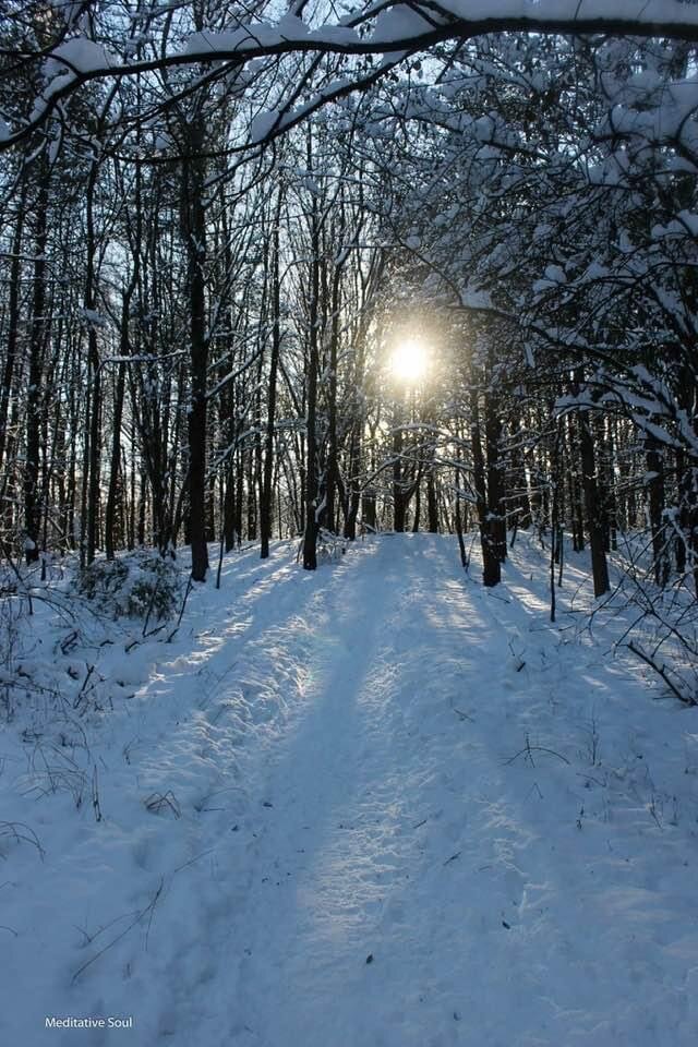 “Come, I will light your way...” 🙏🏽✨💗May we bring light to the darkness,Hope to despair,Calm to craziness,And let our love fill the air... 💗✨💞