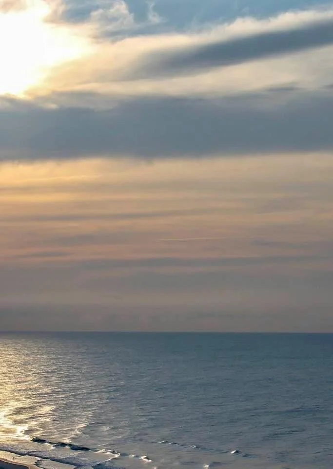 And then there was hope...“Wake up my child and you will seeA new day that’s made just for thee.In a story including everyone,And your new page has just begun...”🥰💗✨🙏🏽✨💞