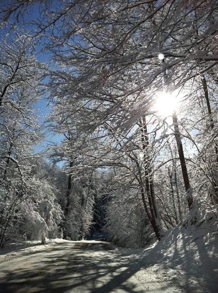In stillness... is peace... 💜Hoping you can find beauty in simple moments... ☀️✨💗In the stillness before the breeze...With the sun peeking through the trees...May you find the beauty laid out before youAnd breathe in a moment of peace... ✨💞