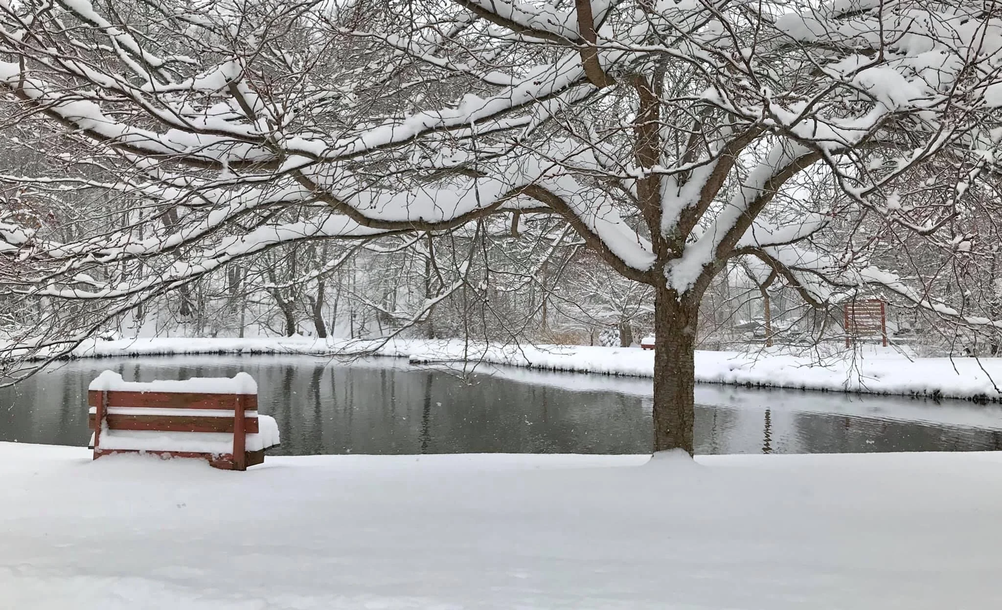 Ahhh, come, rest in the stillness... 💗❄️💞