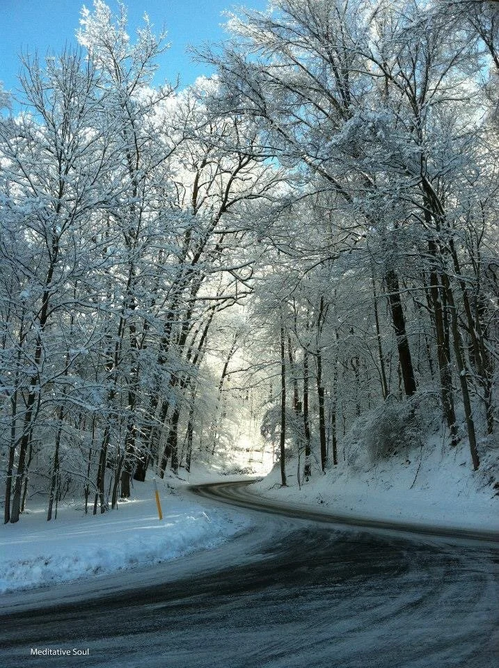 Just around the corner, there’s sun...☀️🥰✨💗 Imagine feeling the sun warming your face on a cold day... after a long Winter... ahhh like being greeted by and old friend.  Soon, very soon...💗☀️✨