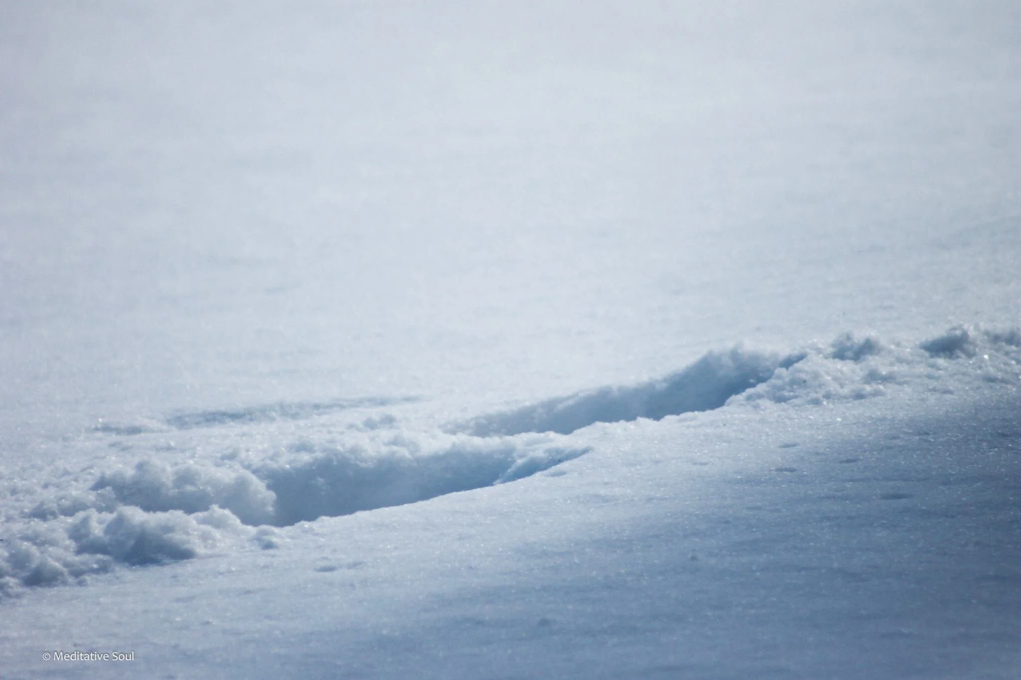 No matter how fast or slow we imagine we’ll go, we can really only take one step at a time... like footprints in the snow. ❄️☀️✨💗