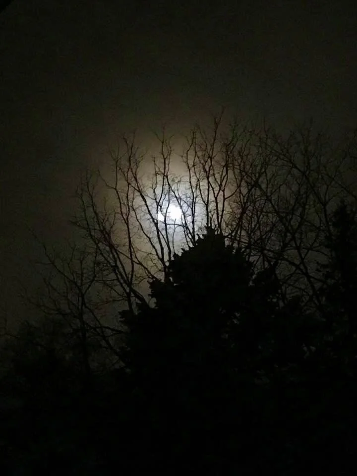 Right before the dawn...If only we knew all that happens behind the scenes, we would feel more supported, more loved, more at peace...The moon was setting veRy early last Saturday morning. It was a typical cold Winter night, only the sky was clear..…