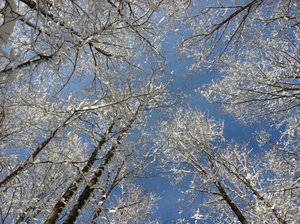 “What are you doing?”“We’re reaching for you!”“That’s so beautiful, but you know I’m always with you, around you, and within you... all you need to do is you just pause to feel my presence.”“Well, with all that’s going on, how will we know it’s you?…