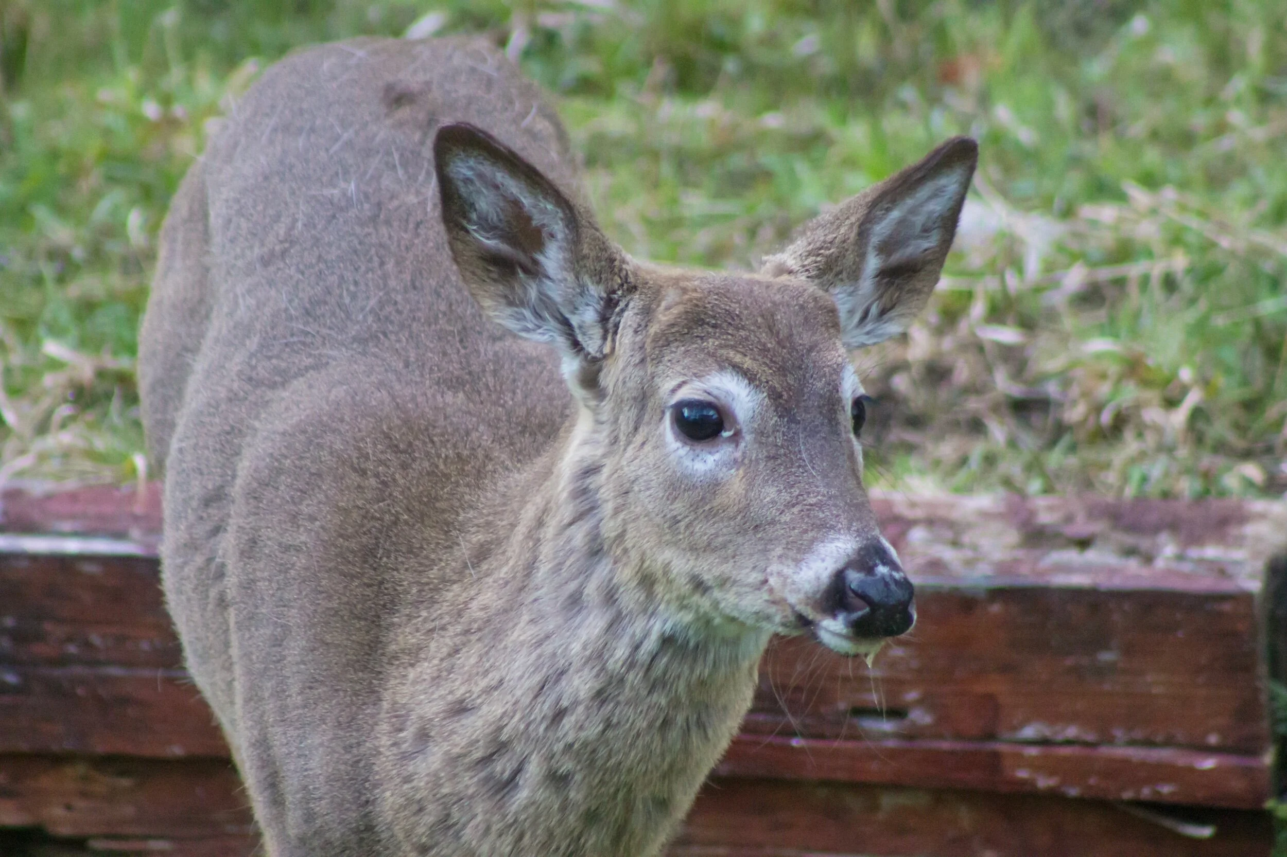 “Good morning... just checking in on you. Maybe we could spend just a moment together... of peace... of calm.... sending all goodness your way. ☀️💜✨💞”