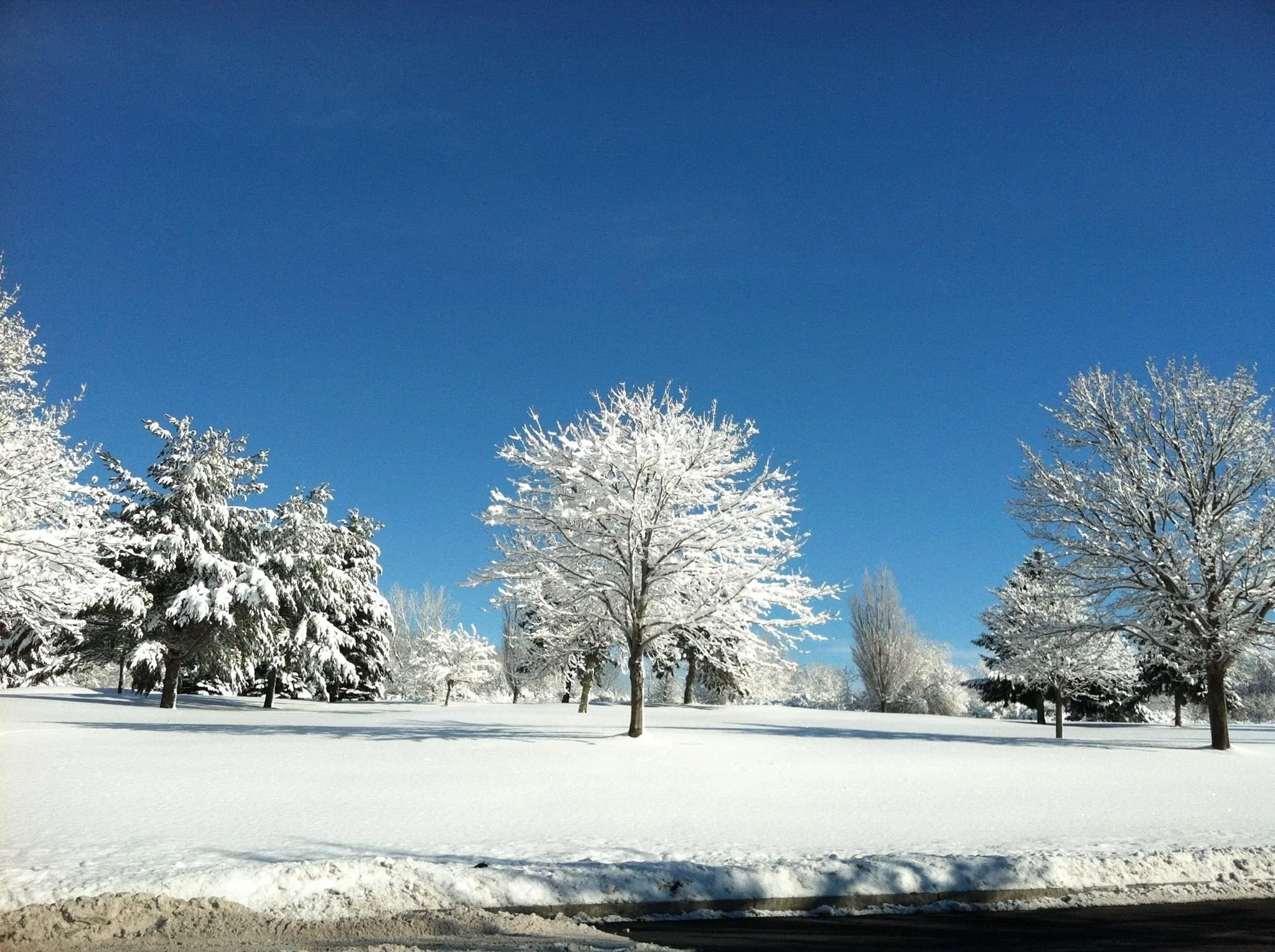 “Snow, I welcome you to my branches,Where you can sit and rest.For it’s with your glistening beauty, That I can look my best. “ “Tree, thank you for your kindnessAs you break me from my fall.For together we share beauty And love and peace with all. …