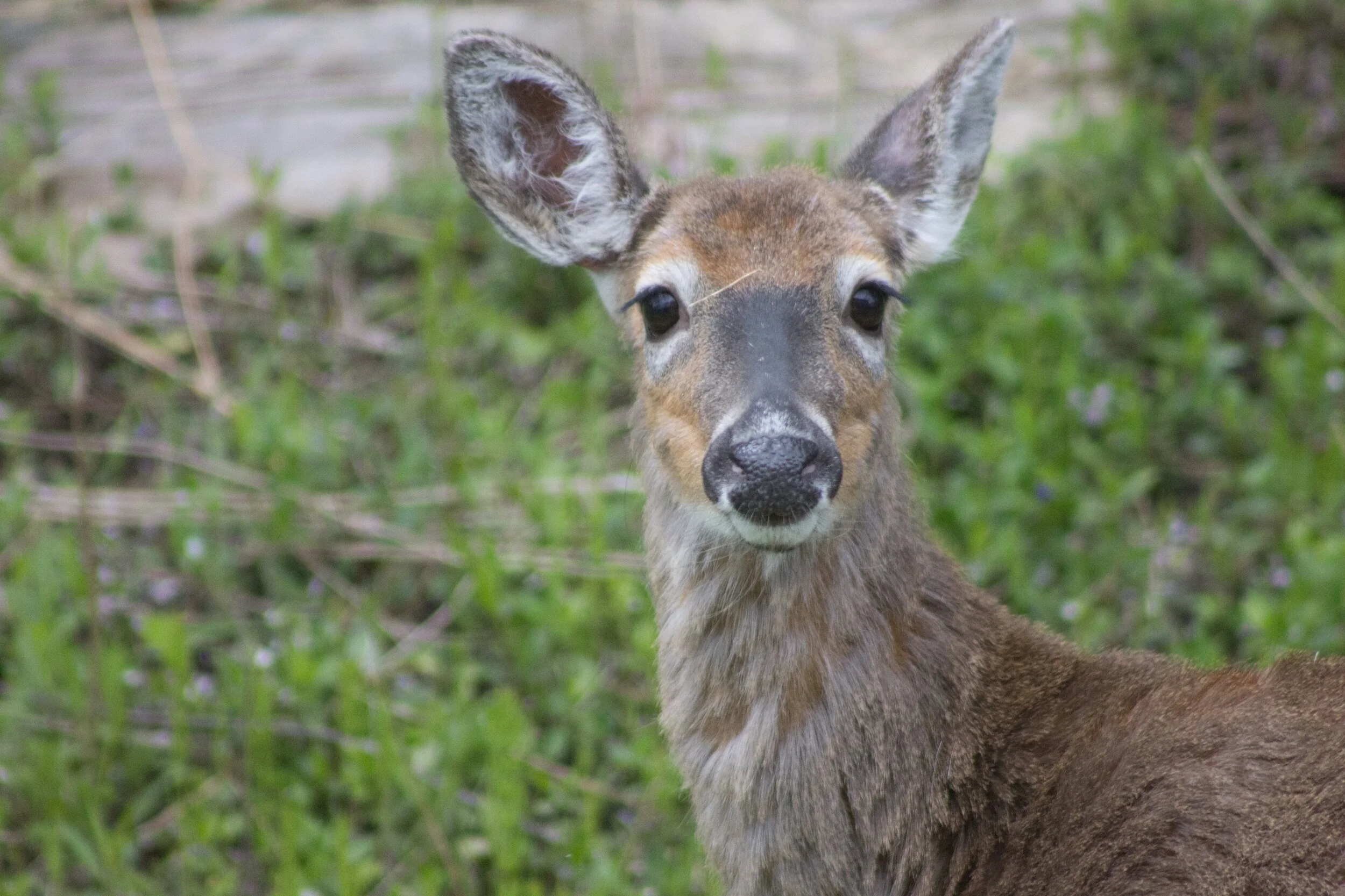 “Good morning ☀️... I just wanted to check in on you. It’s been such a long time since we’ve been together... so if you want, please leave me a word or sentence below or in a message, telling me how you’re doing. Just know, whether you see me or not…