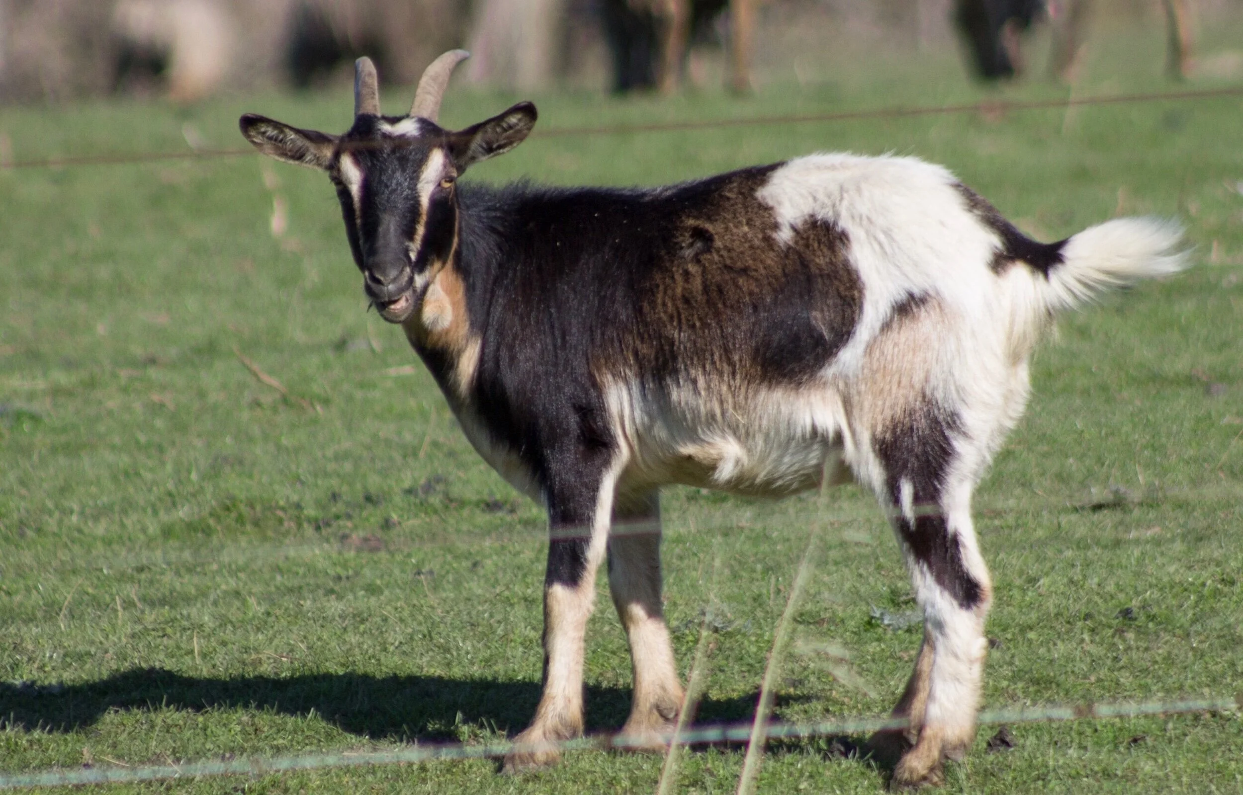 “Here’s looking at you, kid.” 😍 I hope you have a day full of hope, of wonder... a day full of whatever your heart truly needs. ✨💗☀️😘💞