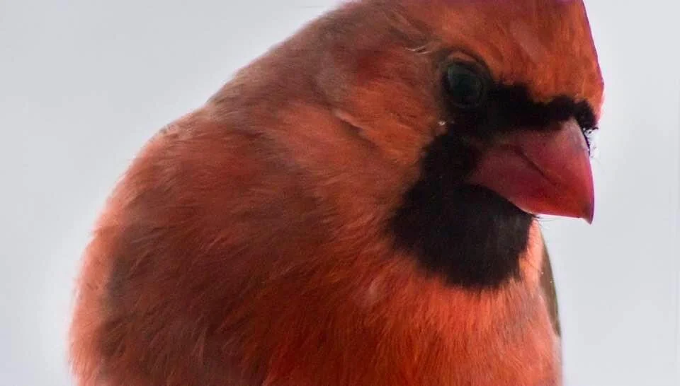 Love... it’s all love...Breathe it, become it, share it...Happy Valentine’s Day! 💗✨💞