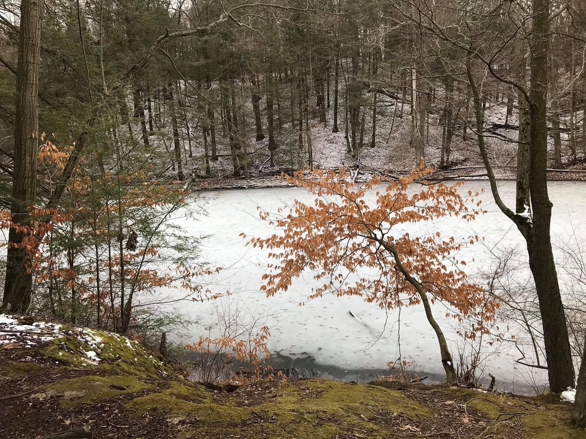 “I’ll stay here a bit and grace your shore, as we let life unfold,For where would we be, I ask myself,If we’re left alone in the cold.”Grateful for all of you... ☀️🙏🏽✨😘💞