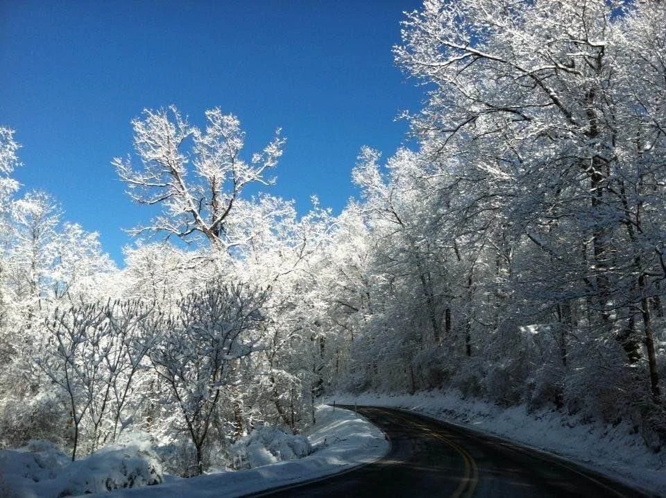 A little peaceful snowscape... leading us into a magical winter wonderland. What would we find there I wonder... ❄️ 🥰✨