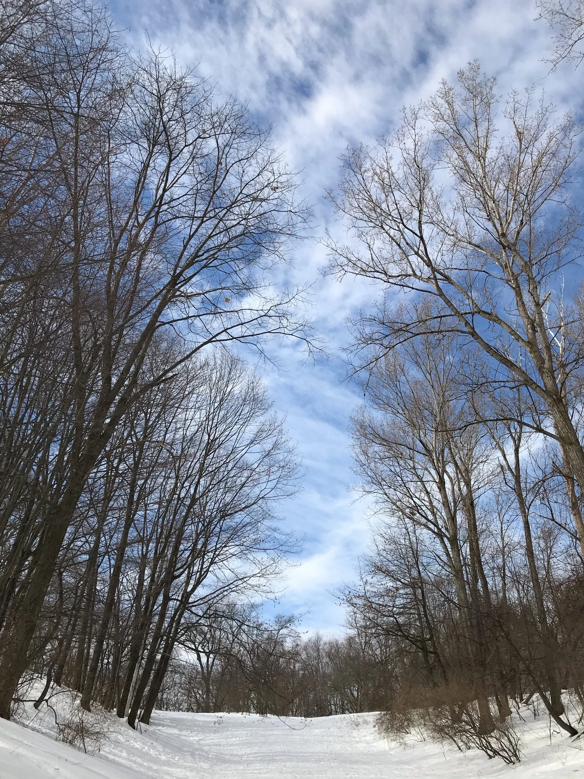 “Look up, my child, look up... I painted the sky just for you! 🥰✨💞”