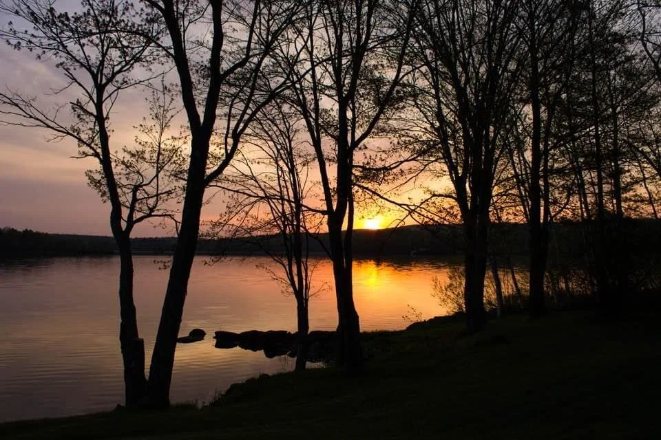 Good morning ☀️ it looks like all the trees got up early to see the sunrise. 🥰 May your day be filled with warmth, beauty, and goodness. Sending love your way. 💞☀️