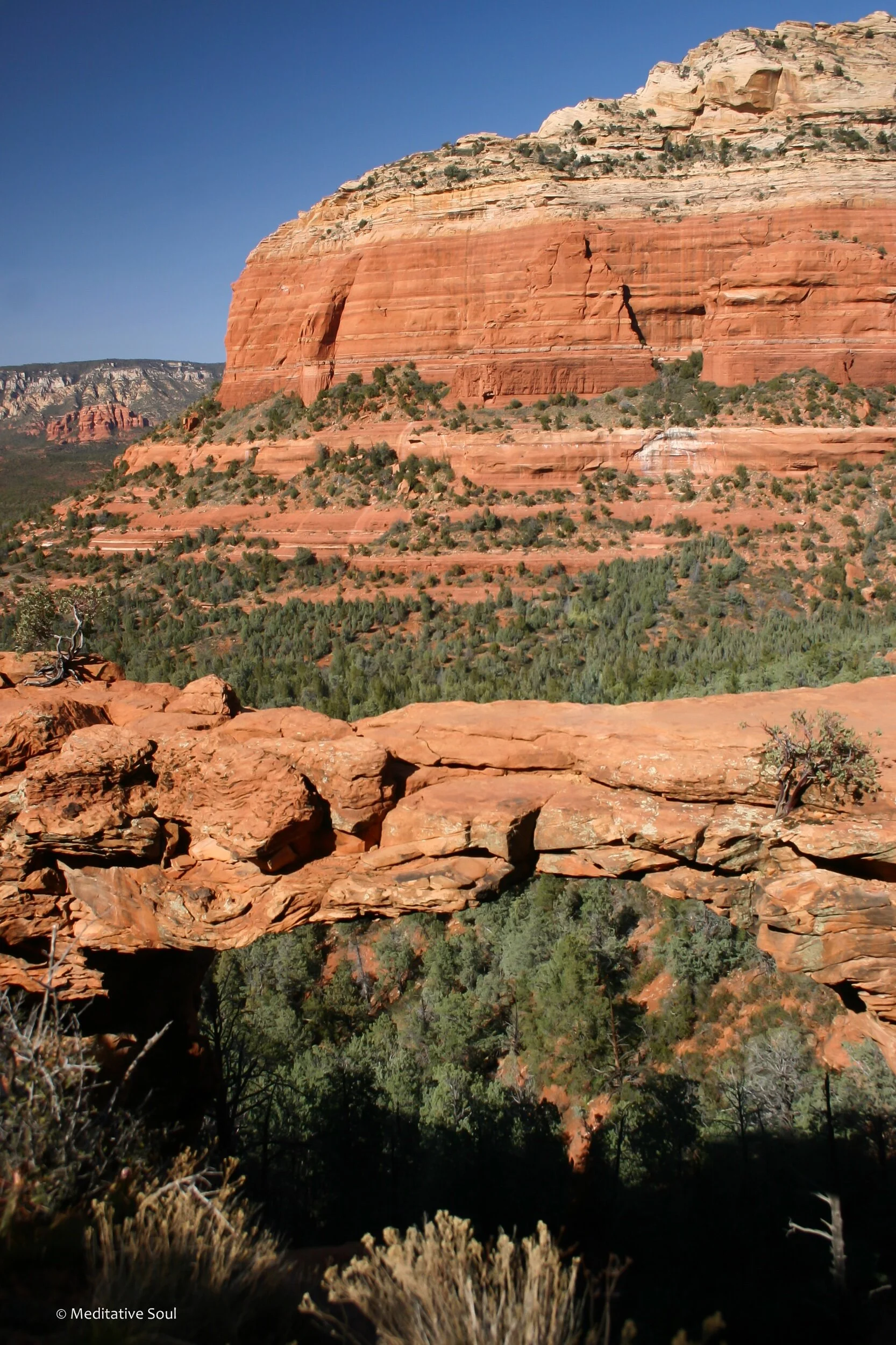 Sending a little warmth your way today... Happy Friday. ☀️✨💞