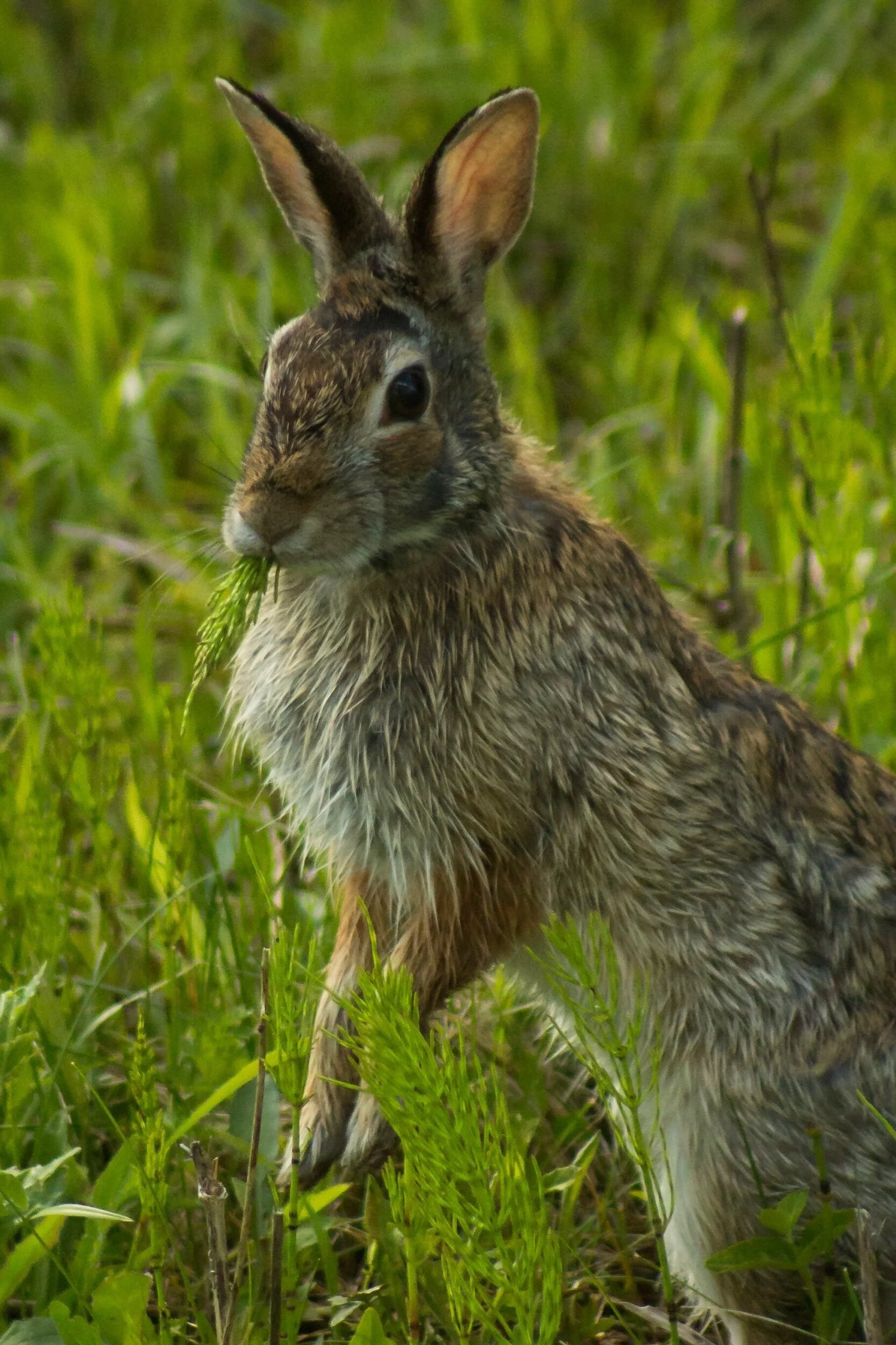 “Good morninphf! Just wanted to hop in and remind you to take care of yourself and eat your veggies today.” ☀️✨😘💞
