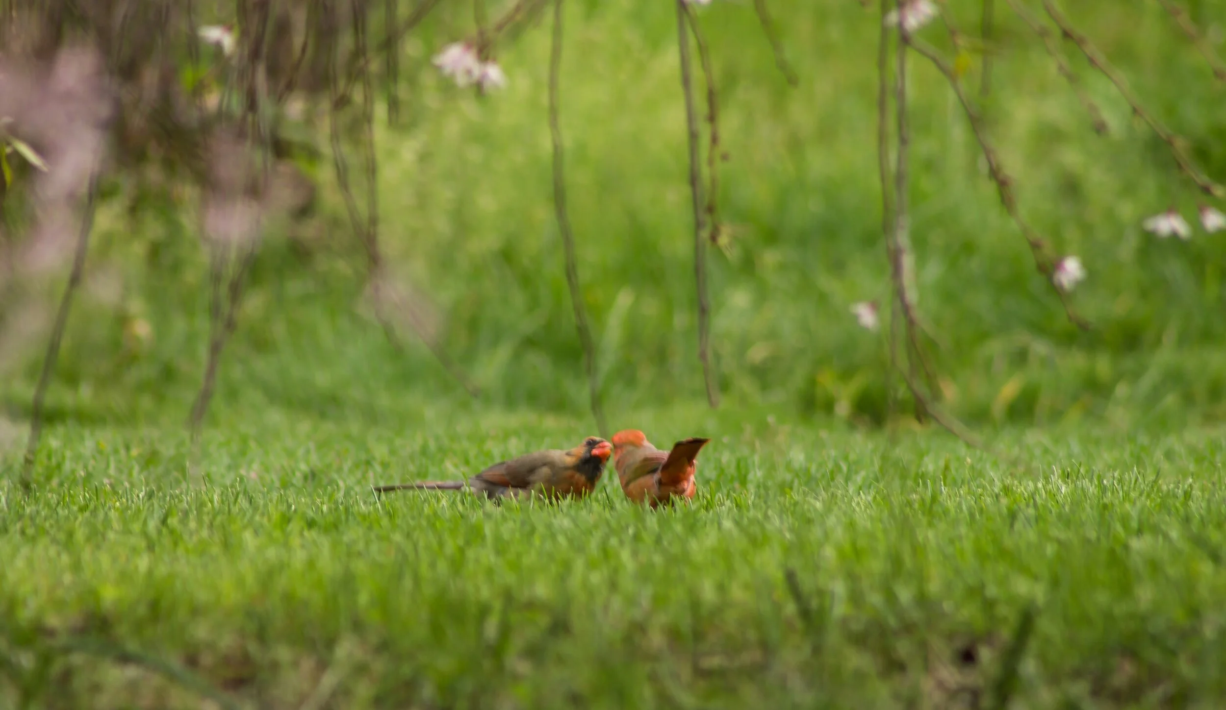 When someone cares enough to share... 🥰💗💜☀️✨