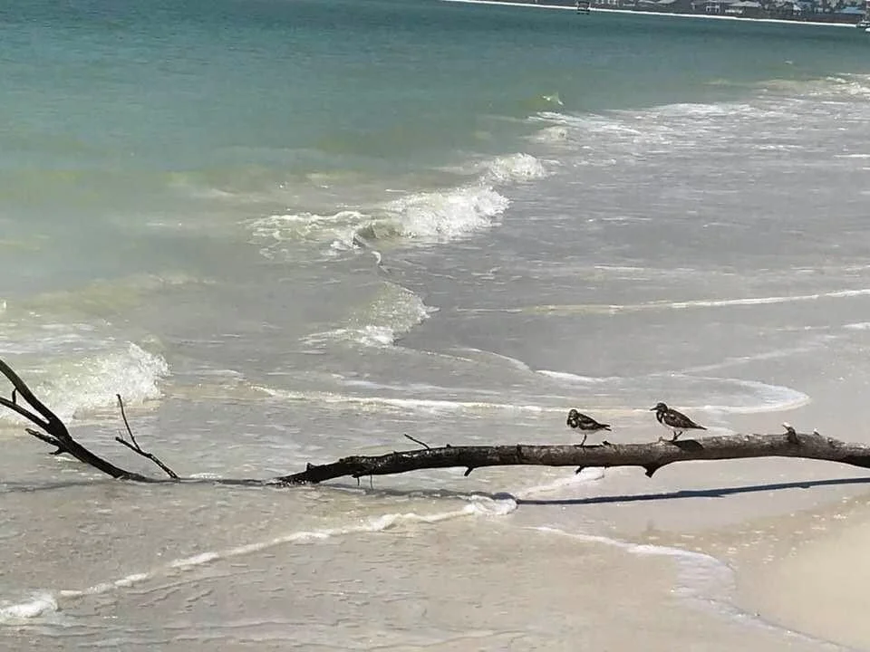 “Could we just stand here a little bit more, and watch the waves grace the shore? 🥰✨💞”