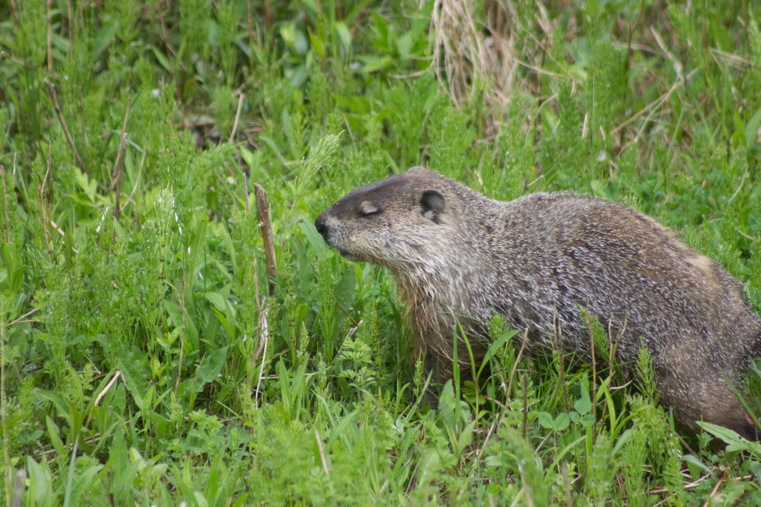 “So here I’ll sit and clear my head Of all that went before...Leave room for you to fill me,For all you have in store.” 🙏🏽💜☀️💞