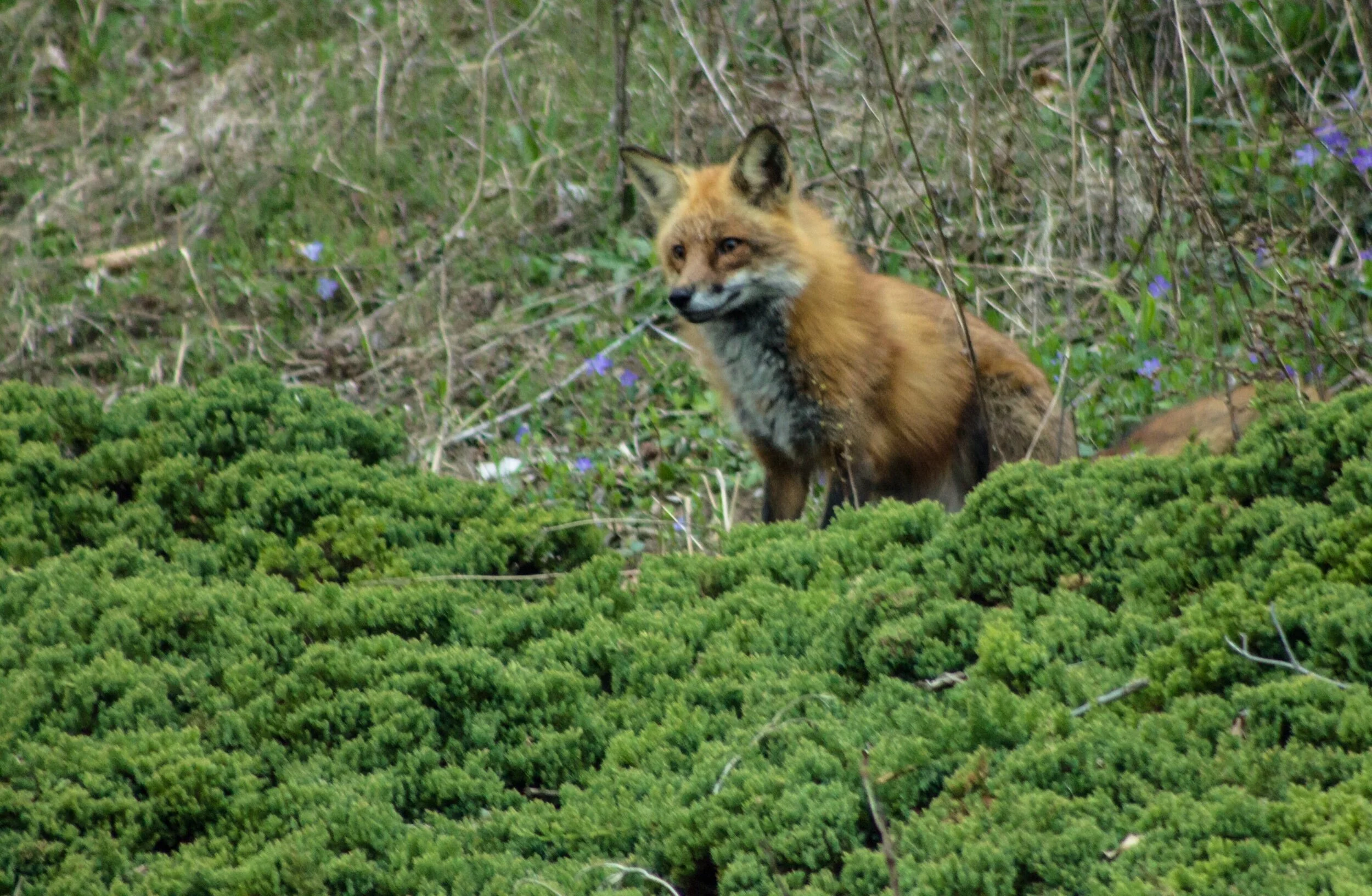 “I’m going to sit here on the hill and take a break from all I try to do, for in this moment, I will rest and dream of time with you.” 💗💞