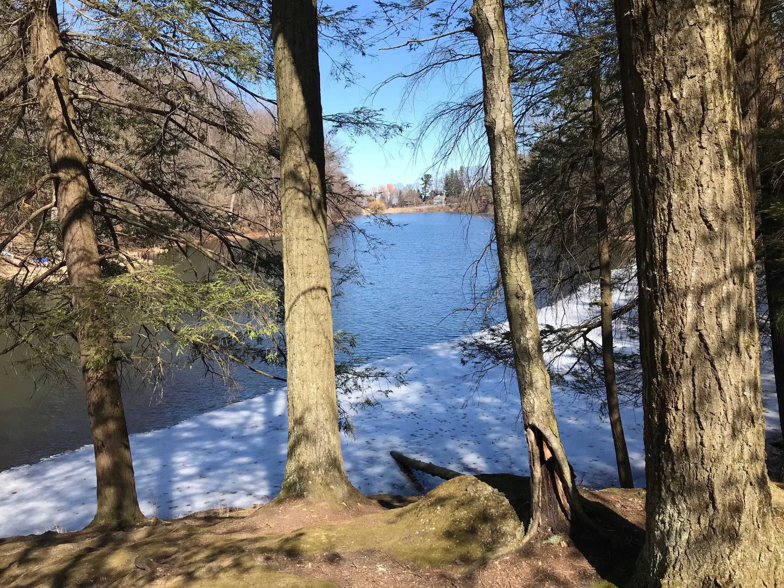 It feels so good when the thaw begins... the breeze warms, freeing the water, softening the earth, and waking up the trees... inviting all to share their beauty with us again... 💗✨💞
