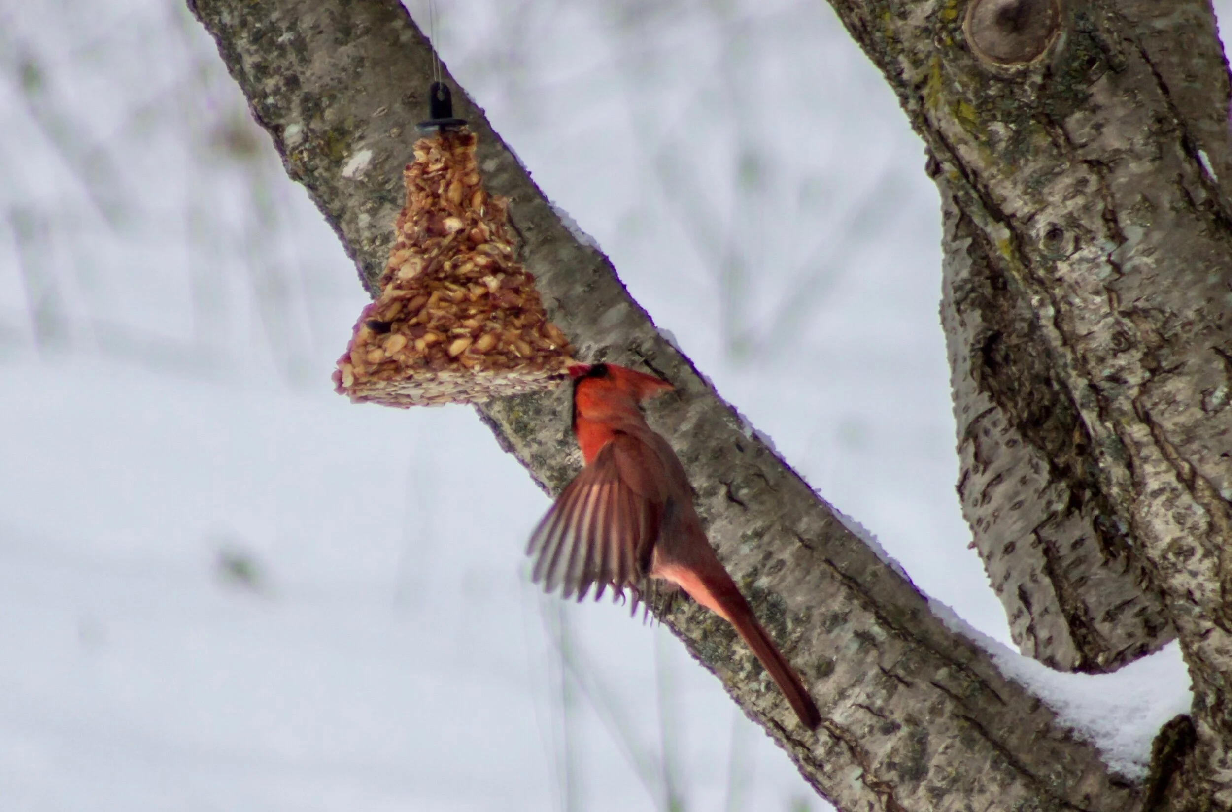 When beauty, skill, and effort all come together to find the perfect seed. 🥰✨💞