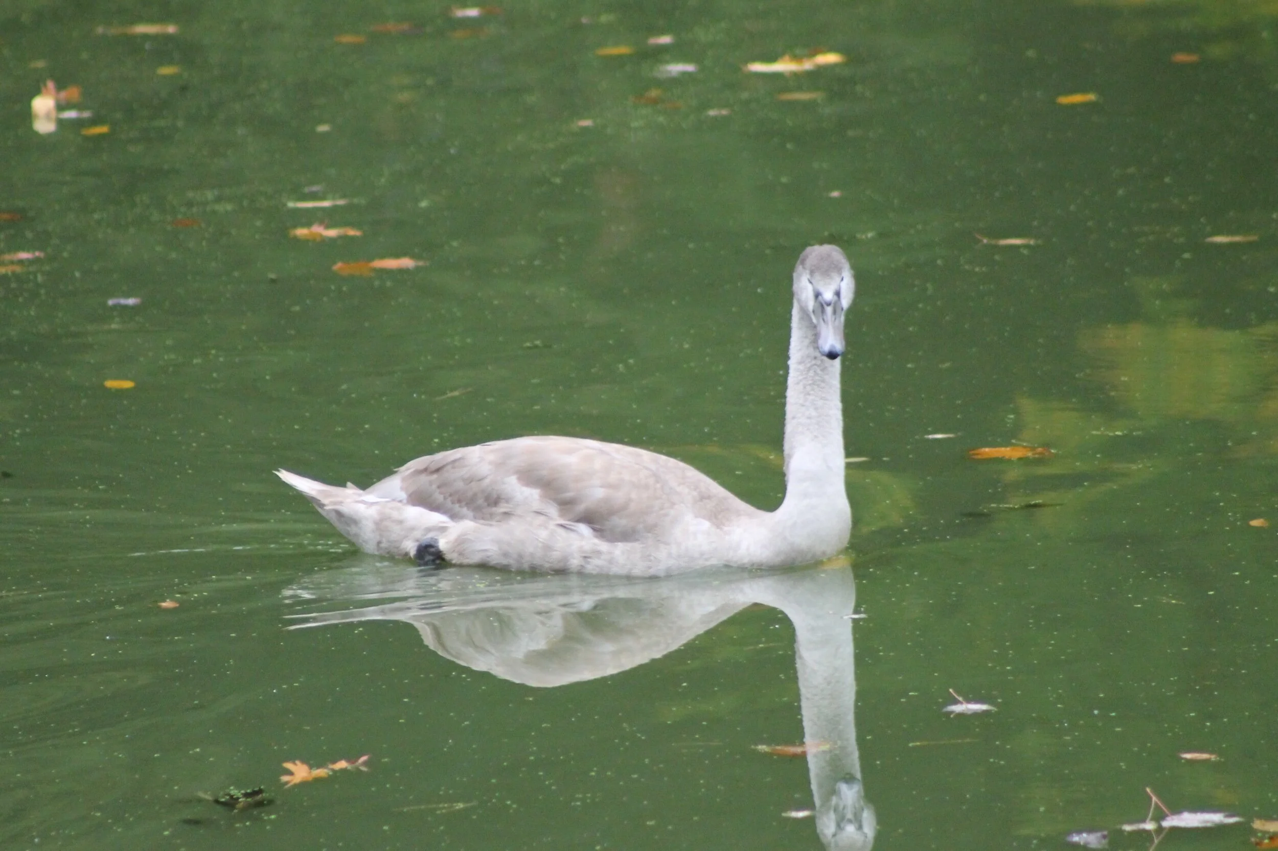 “Good morning... happy Saturday!!” 💜☀️✨💞